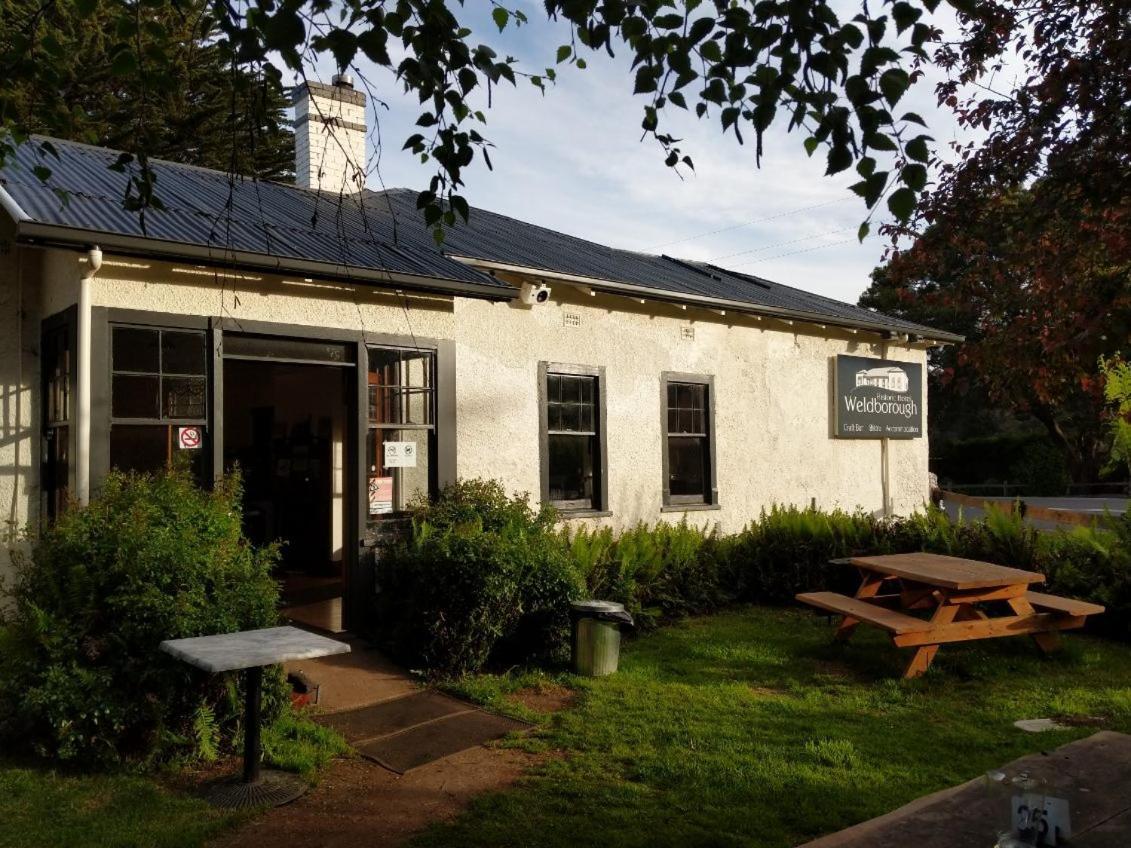 Weldborough Hotel Exterior photo
